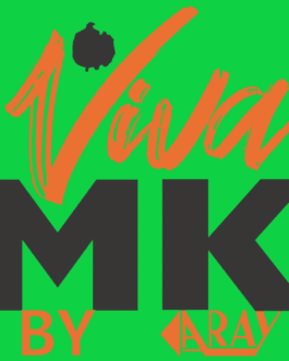 Flashing VivaMK logo