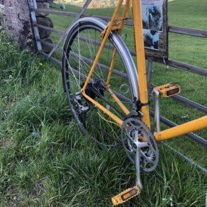 aray yellow bicycle